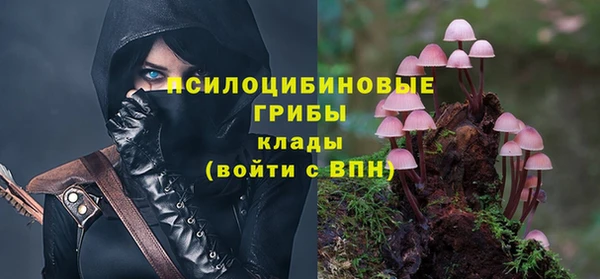 прущие грибы Алексин
