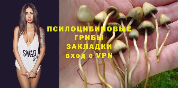 мдпв Сатка