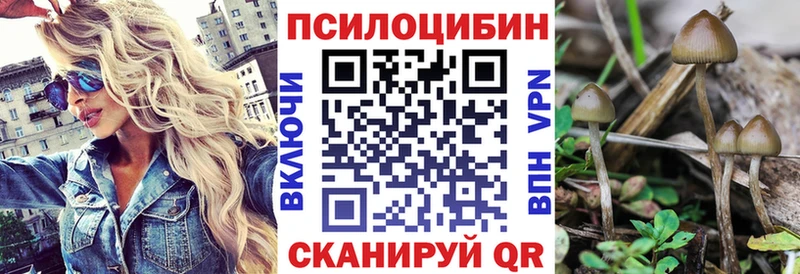кракен маркетплейс  Боготол  Псилоцибиновые грибы MAGIC MUSHROOMS 